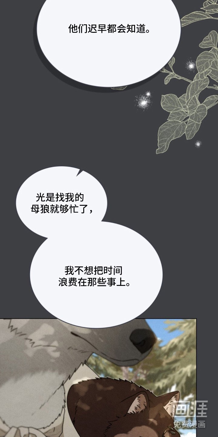 第8章：巧合