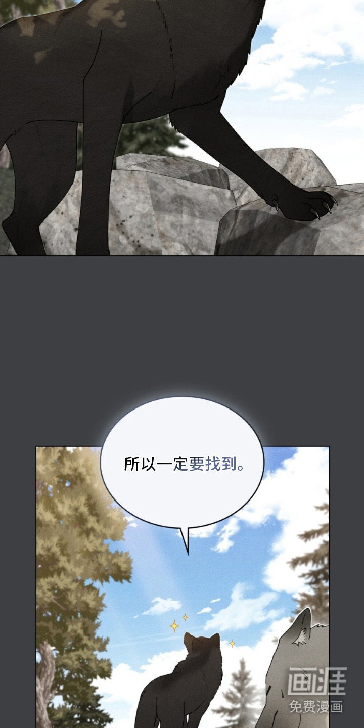 第8章：巧合