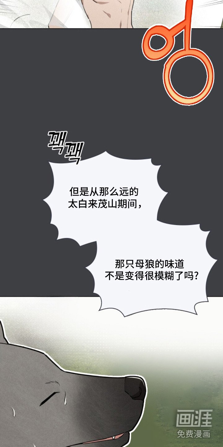 第8章：巧合