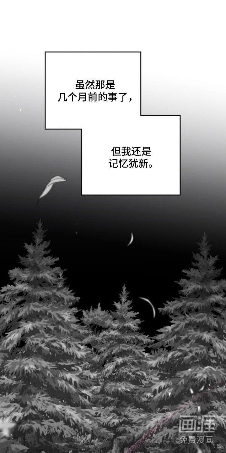 第9章：决心