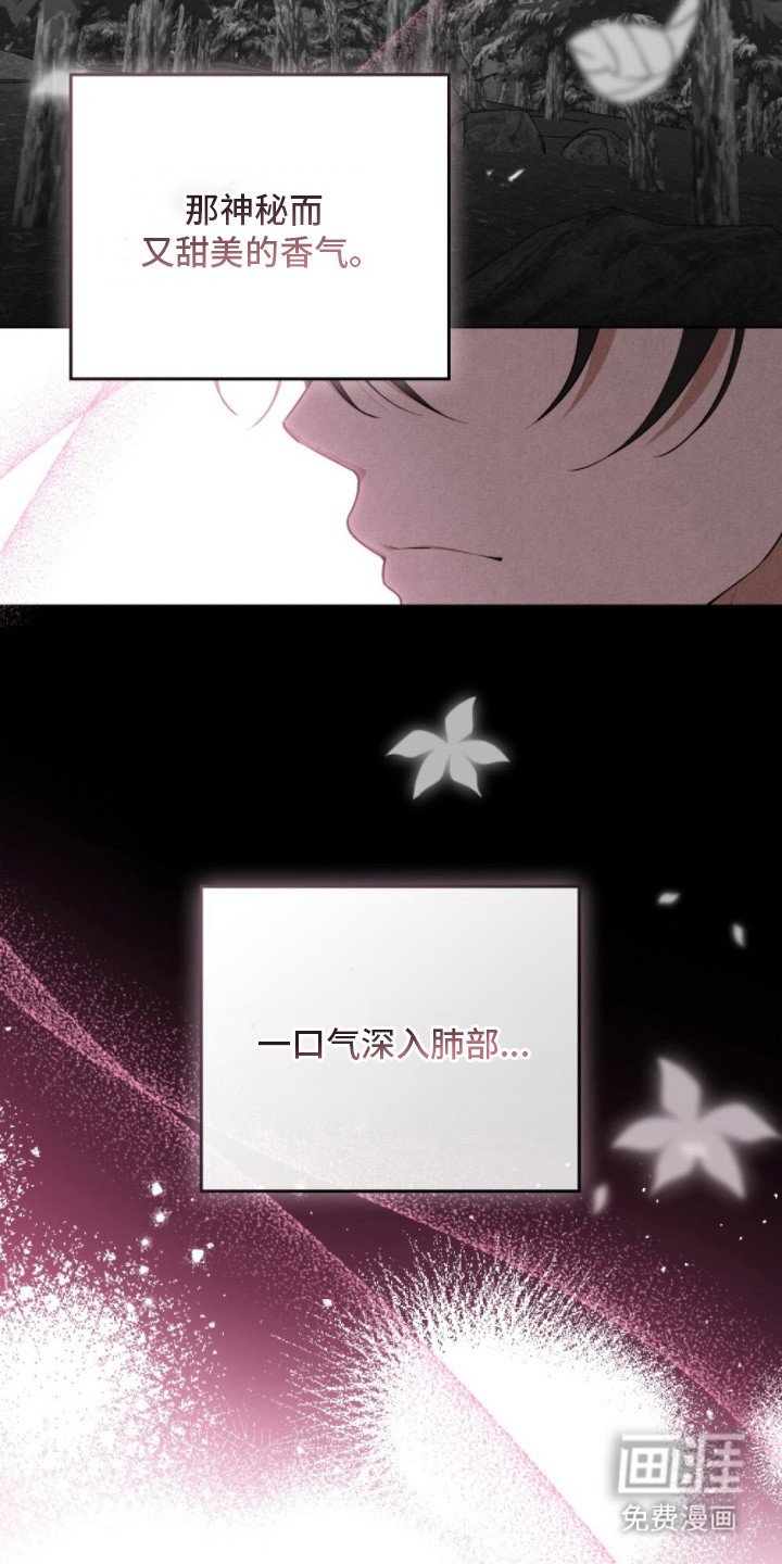 第9章：决心