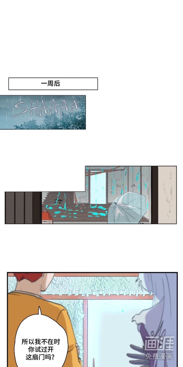 第15章：森林