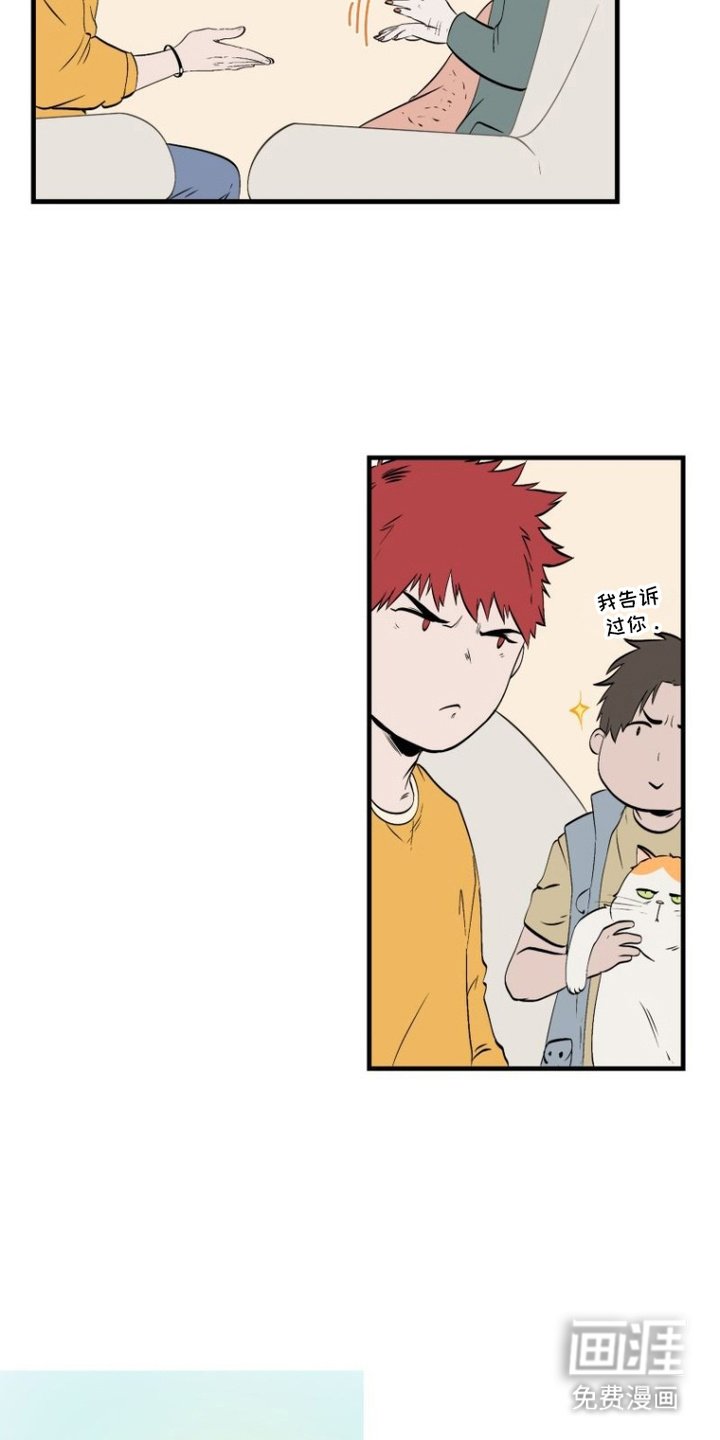 第5章：传言