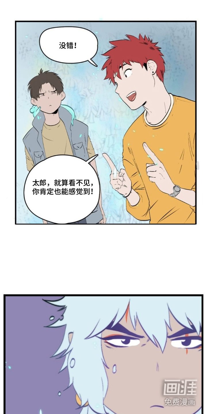 第6章：反常