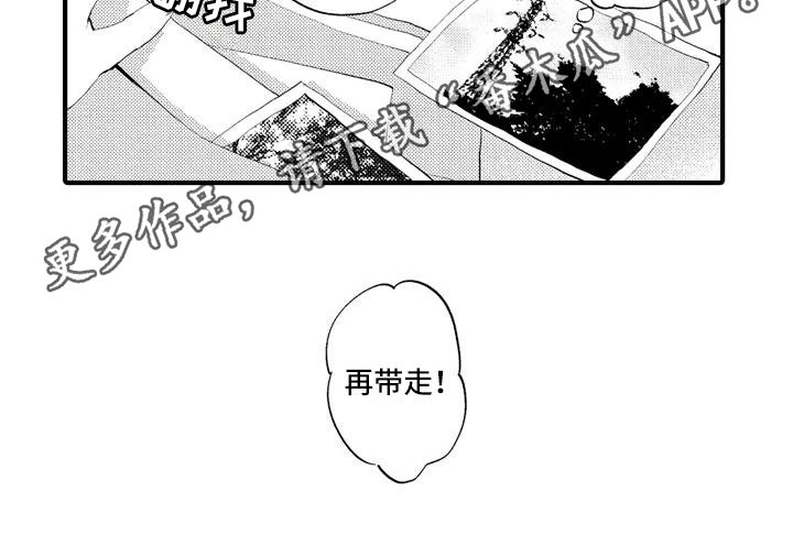 第11章：分享