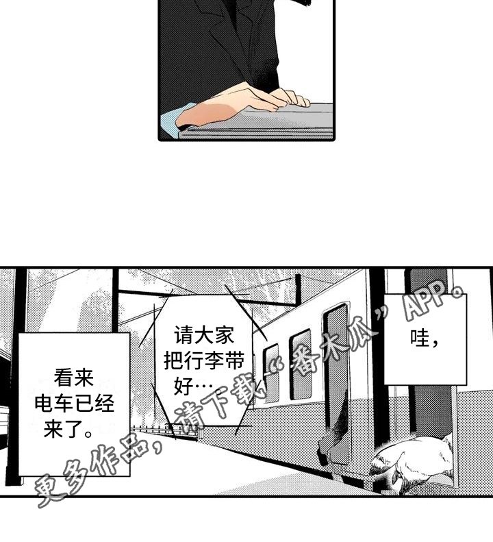 第13章：【番外】离奇故事