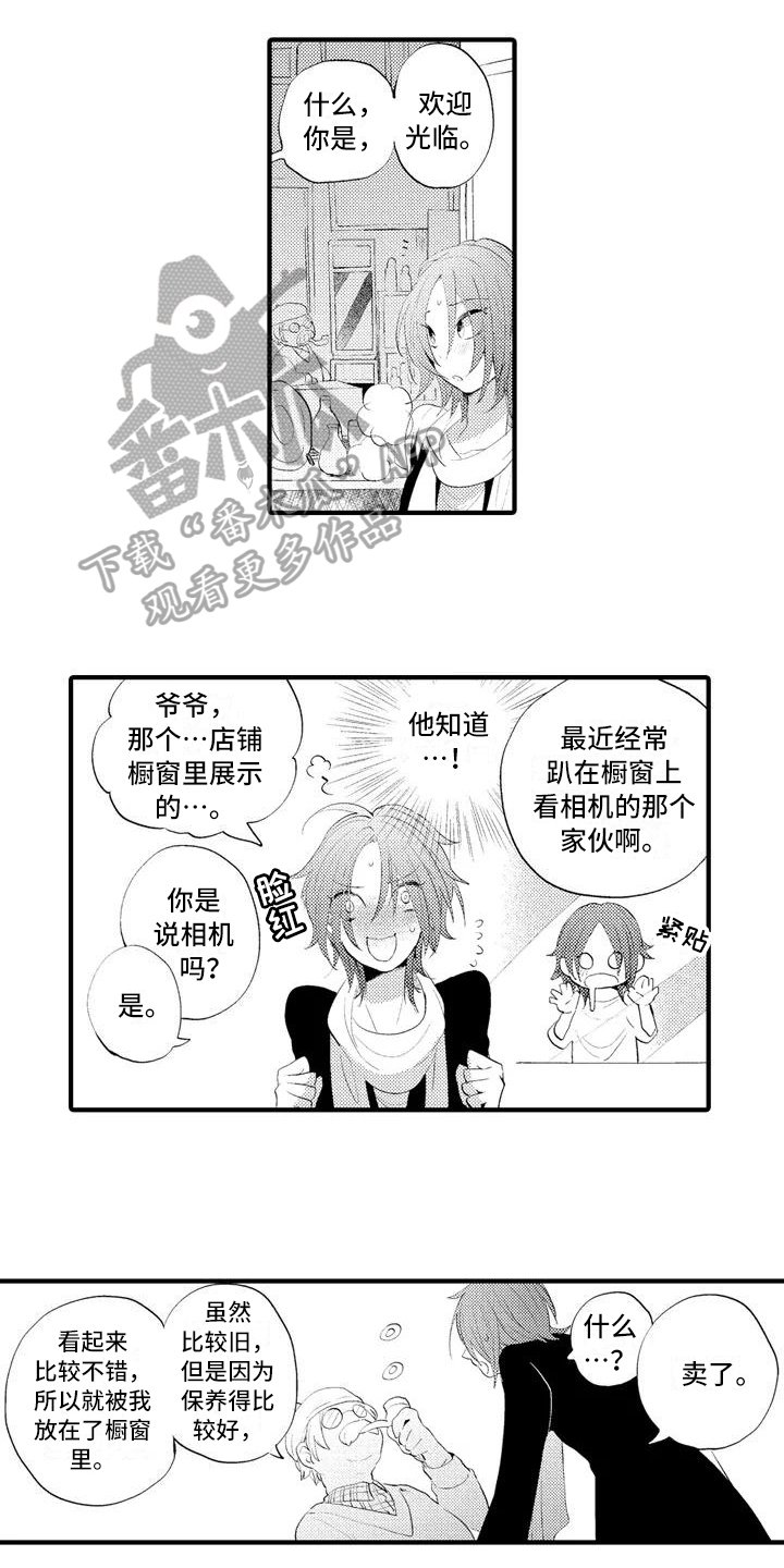 第6章：询问