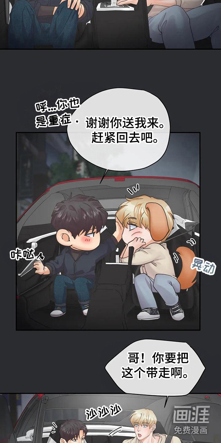 第13章：纸袋