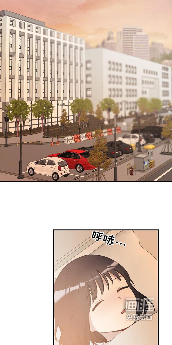 第24章：观察