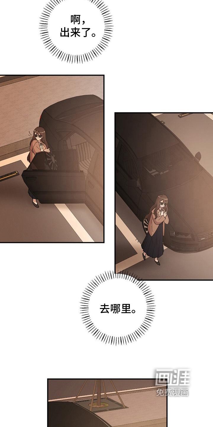 第24章：观察