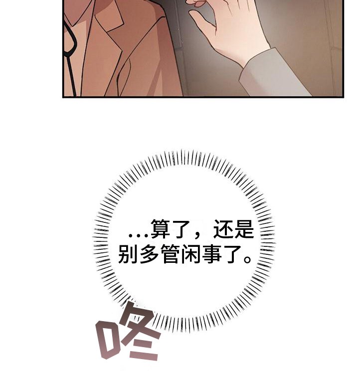 第24章：观察