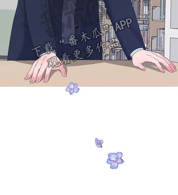 第17章：一见钟情