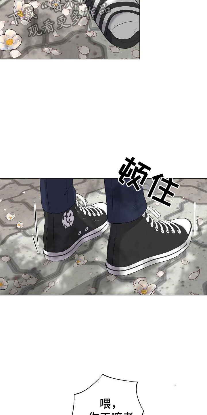 第17章：一见钟情