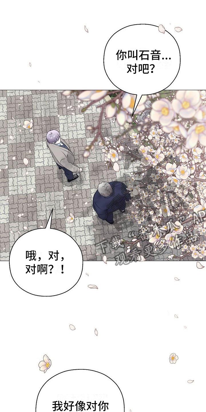 第17章：一见钟情