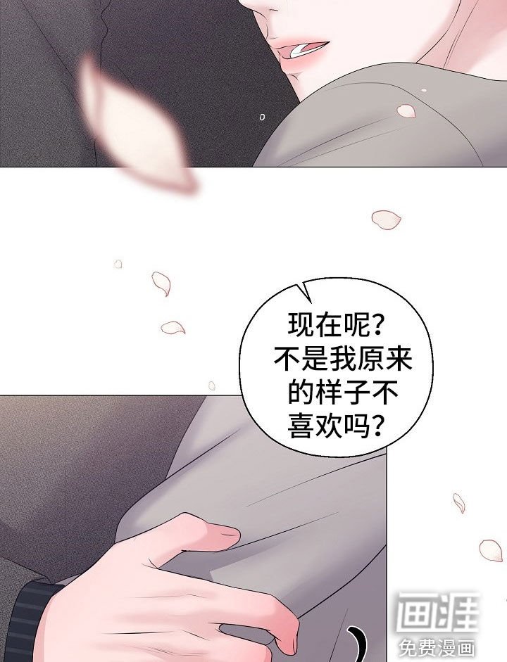 第49章：只要是你就行