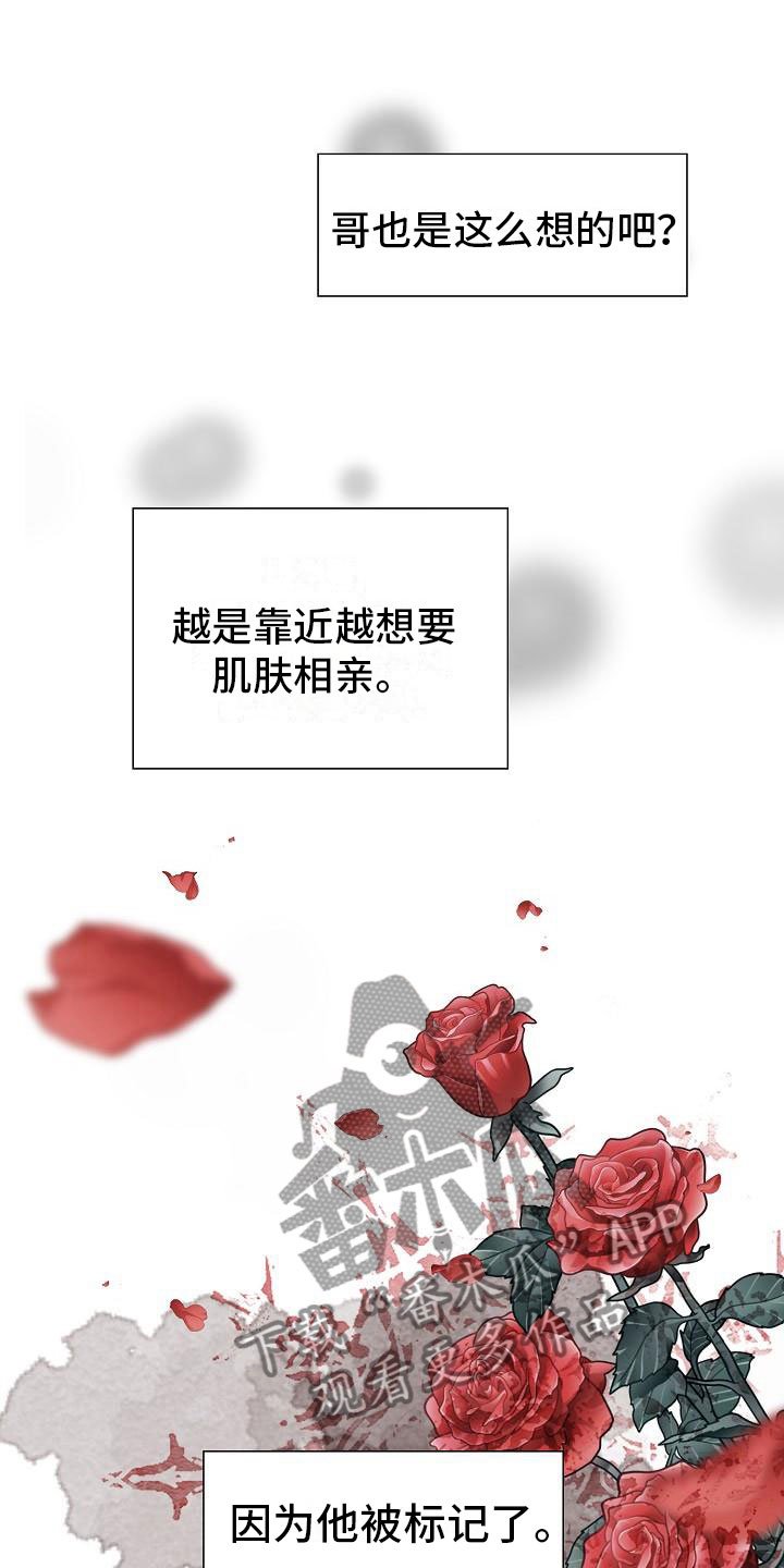 第5章：纳为己有