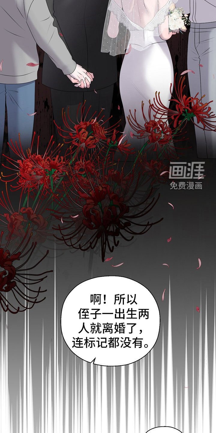 第51章：计划提前