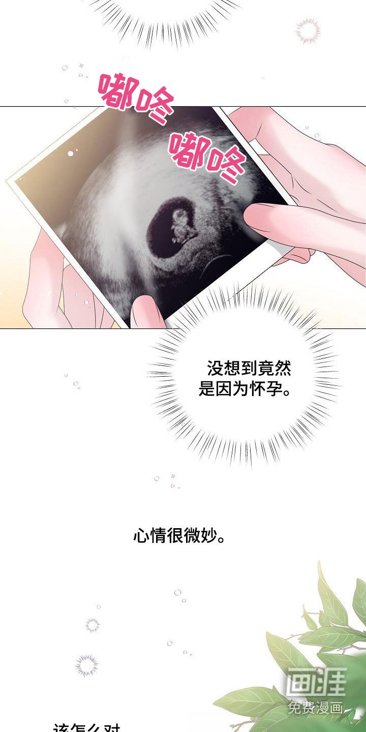 第53章：怀孕