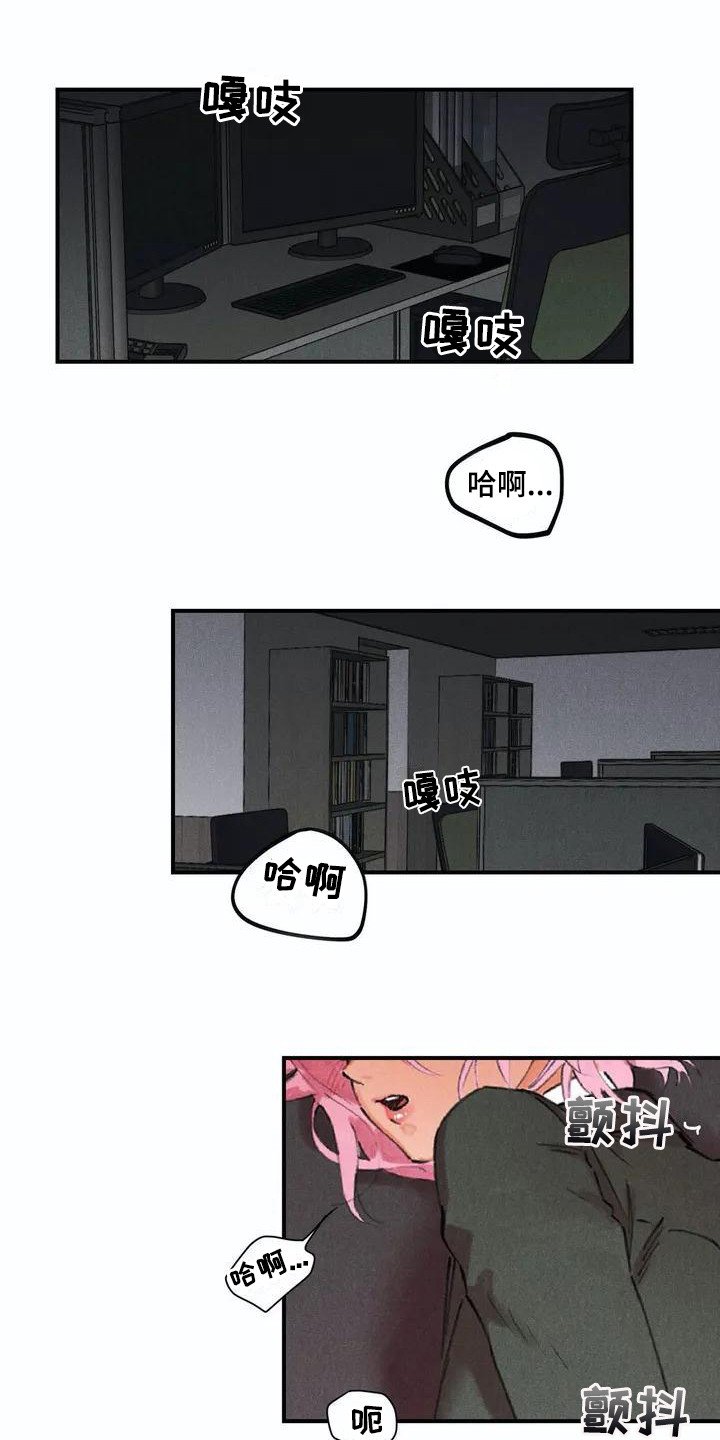 第1章：说实话