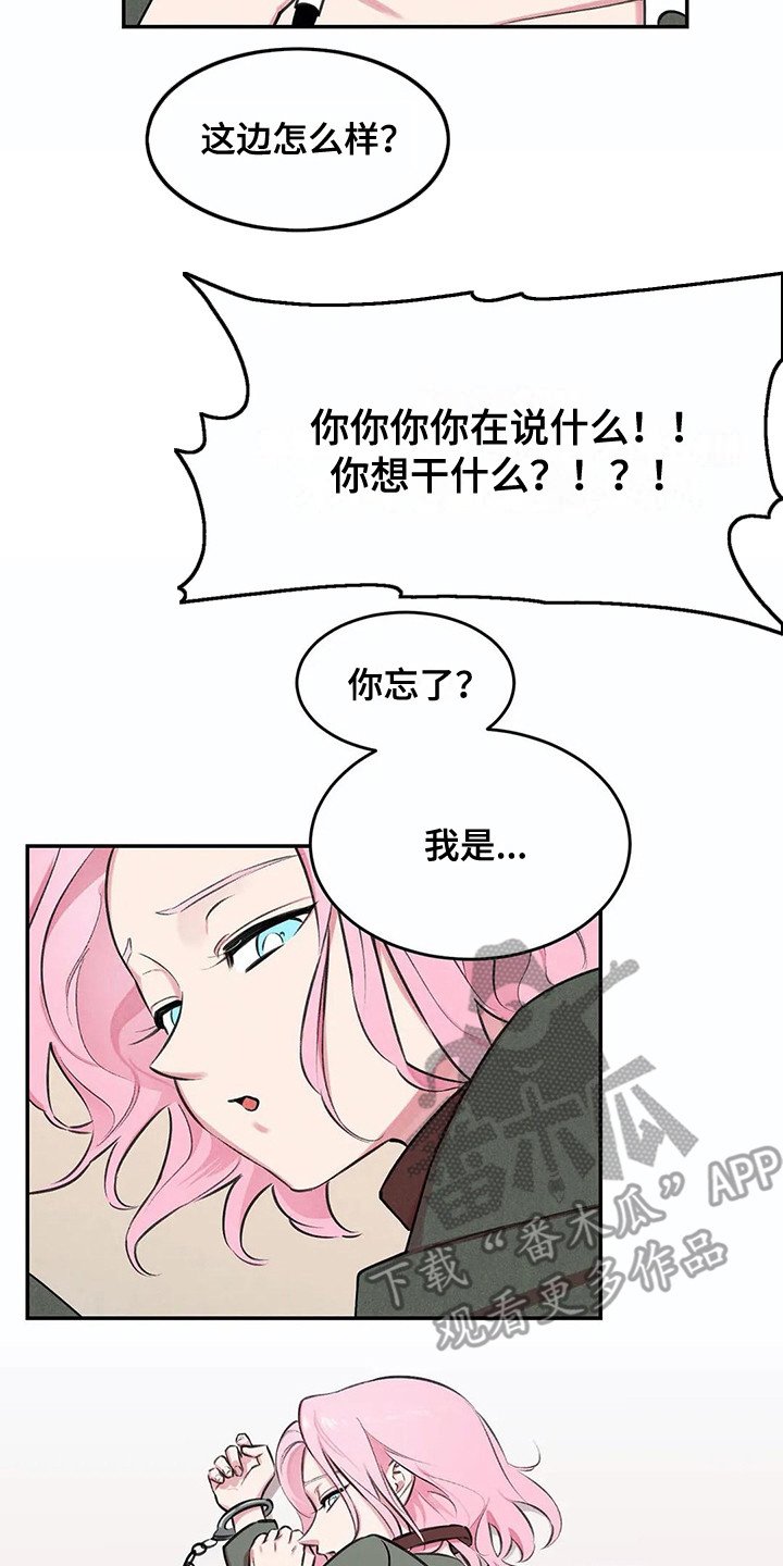 第4章：查资料