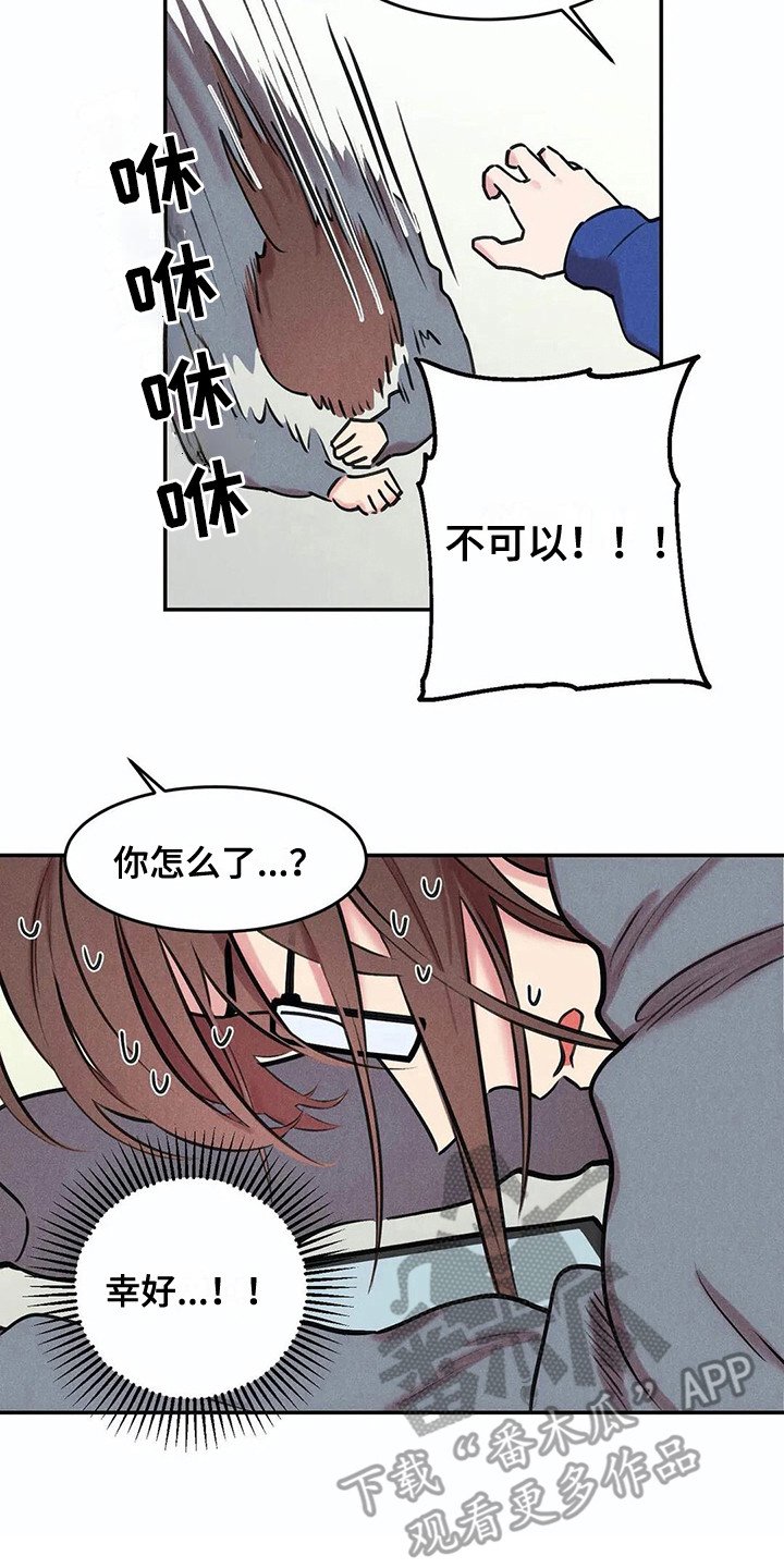 第7章：照片
