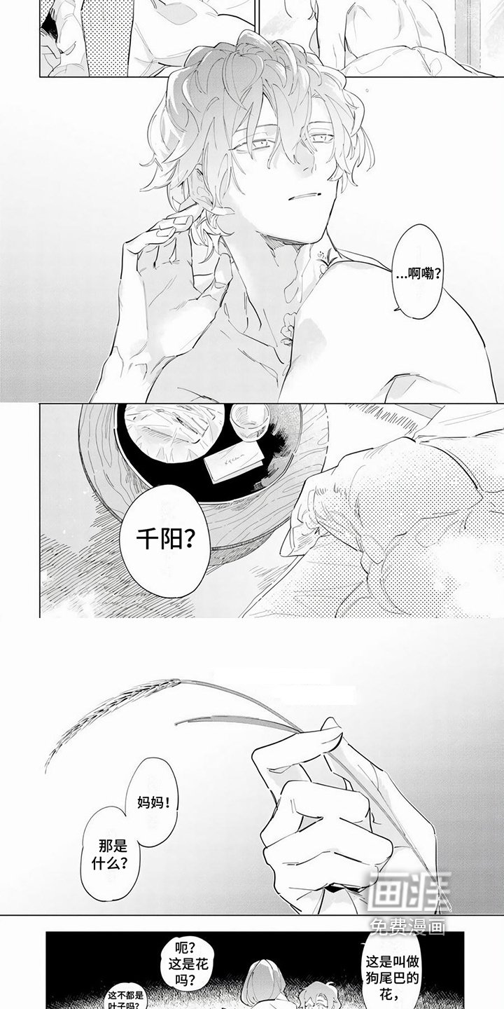 第11章：症状