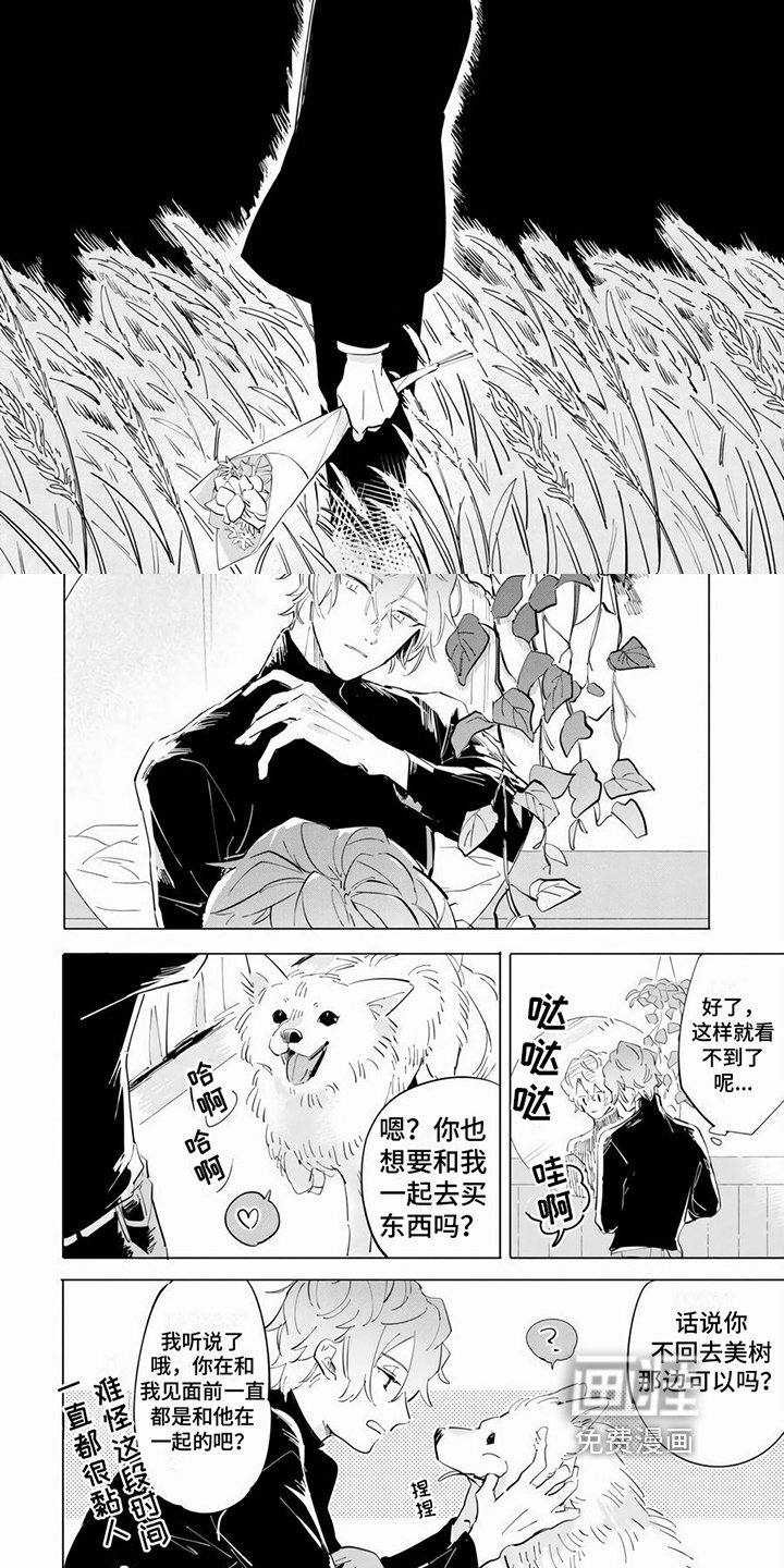 第12章：约定