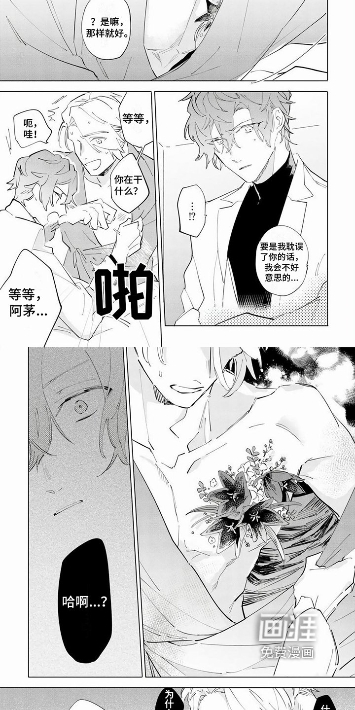 第13章：感染
