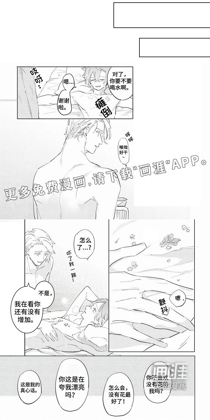 第19章：【番外】新的花朵