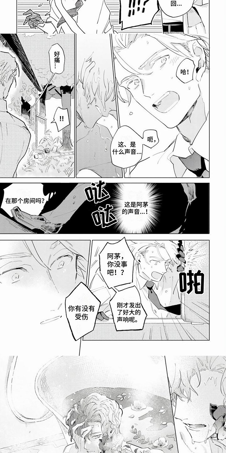 第2章：花朵