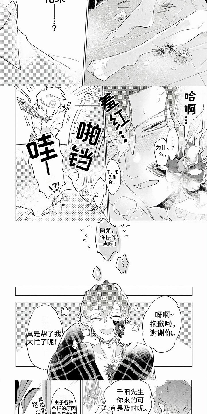 第2章：花朵