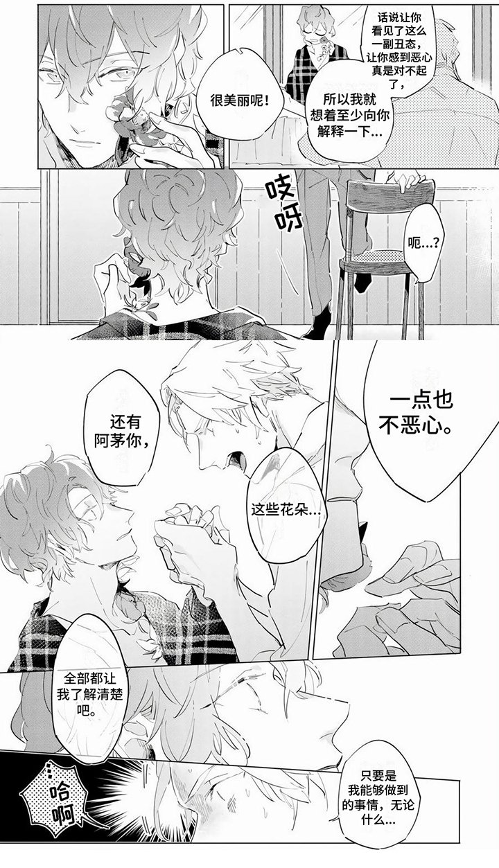 第2章：花朵