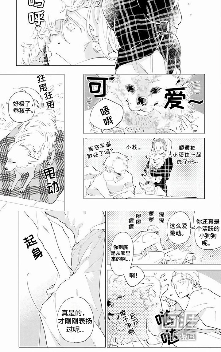 第5章：抑制