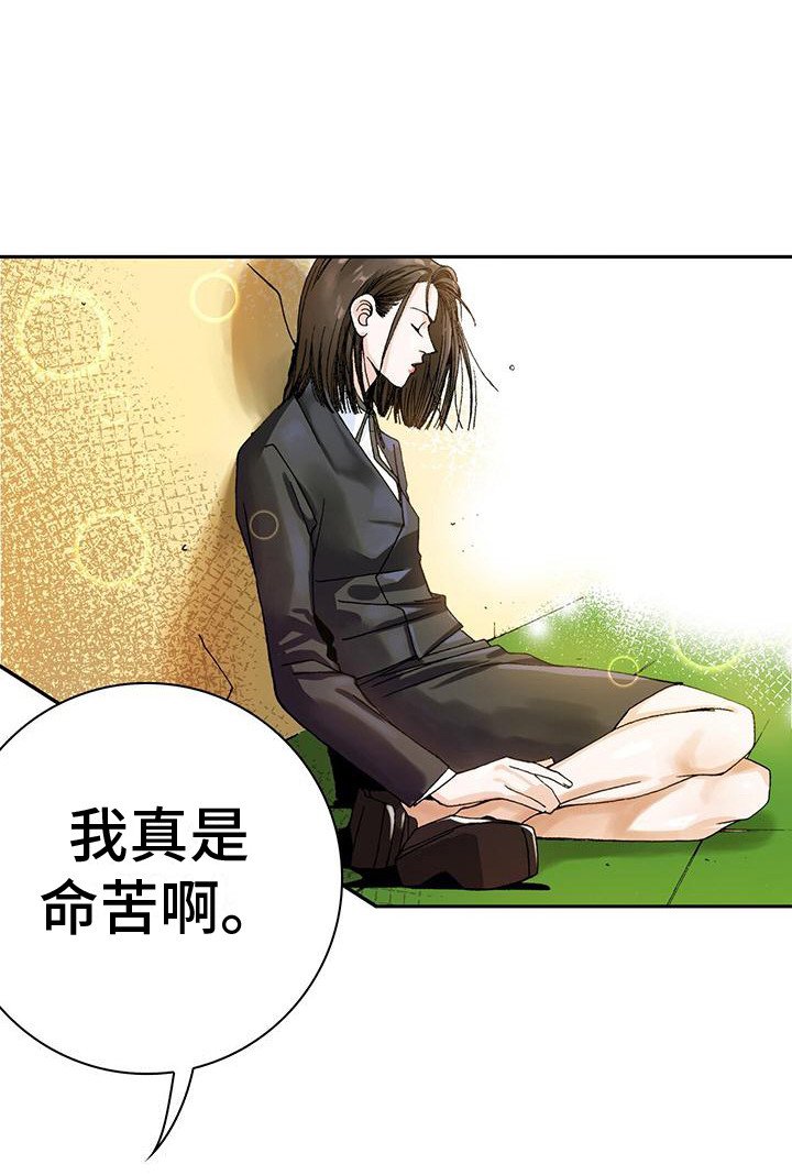 第14章：屋顶