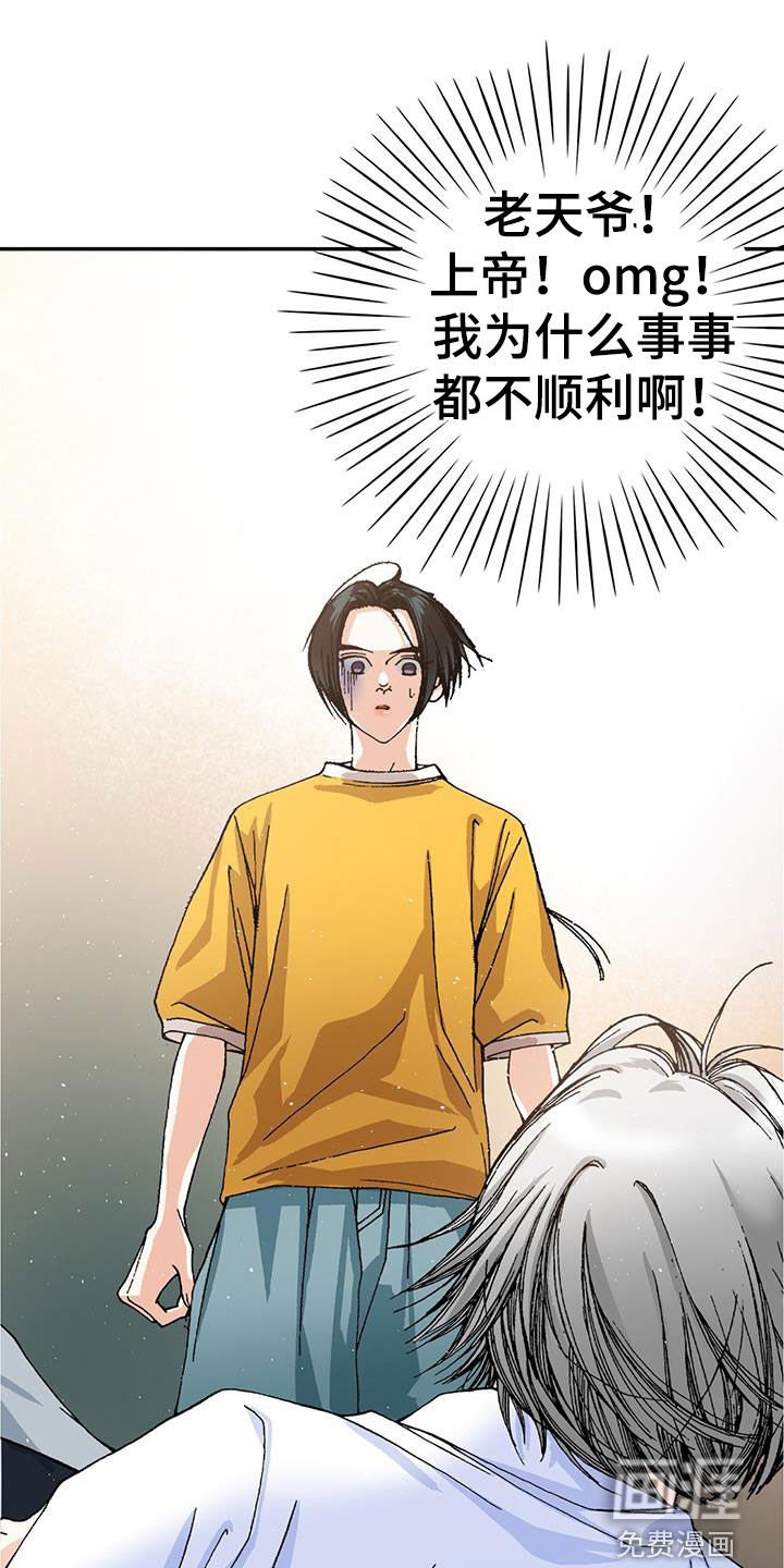 第24章：选择