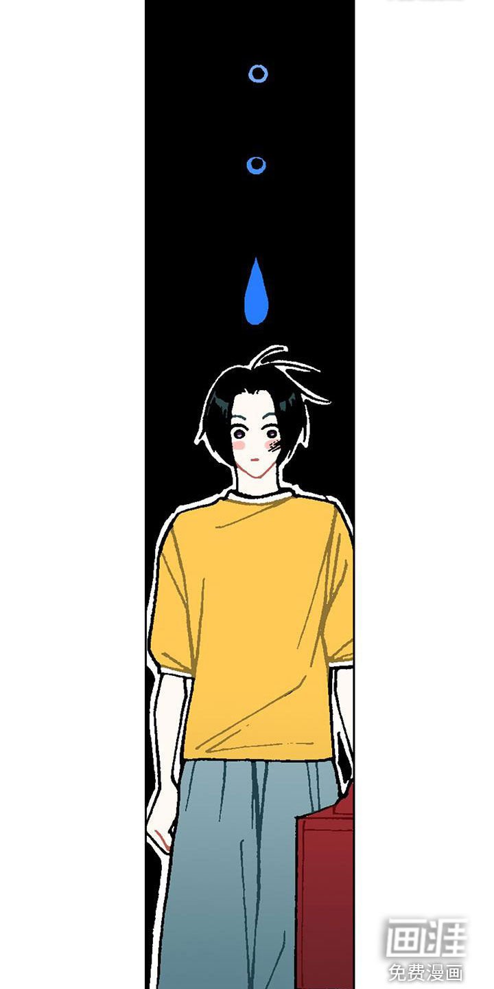 第24章：选择