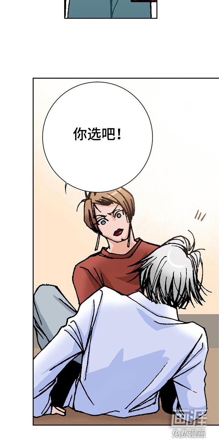 第24章：选择