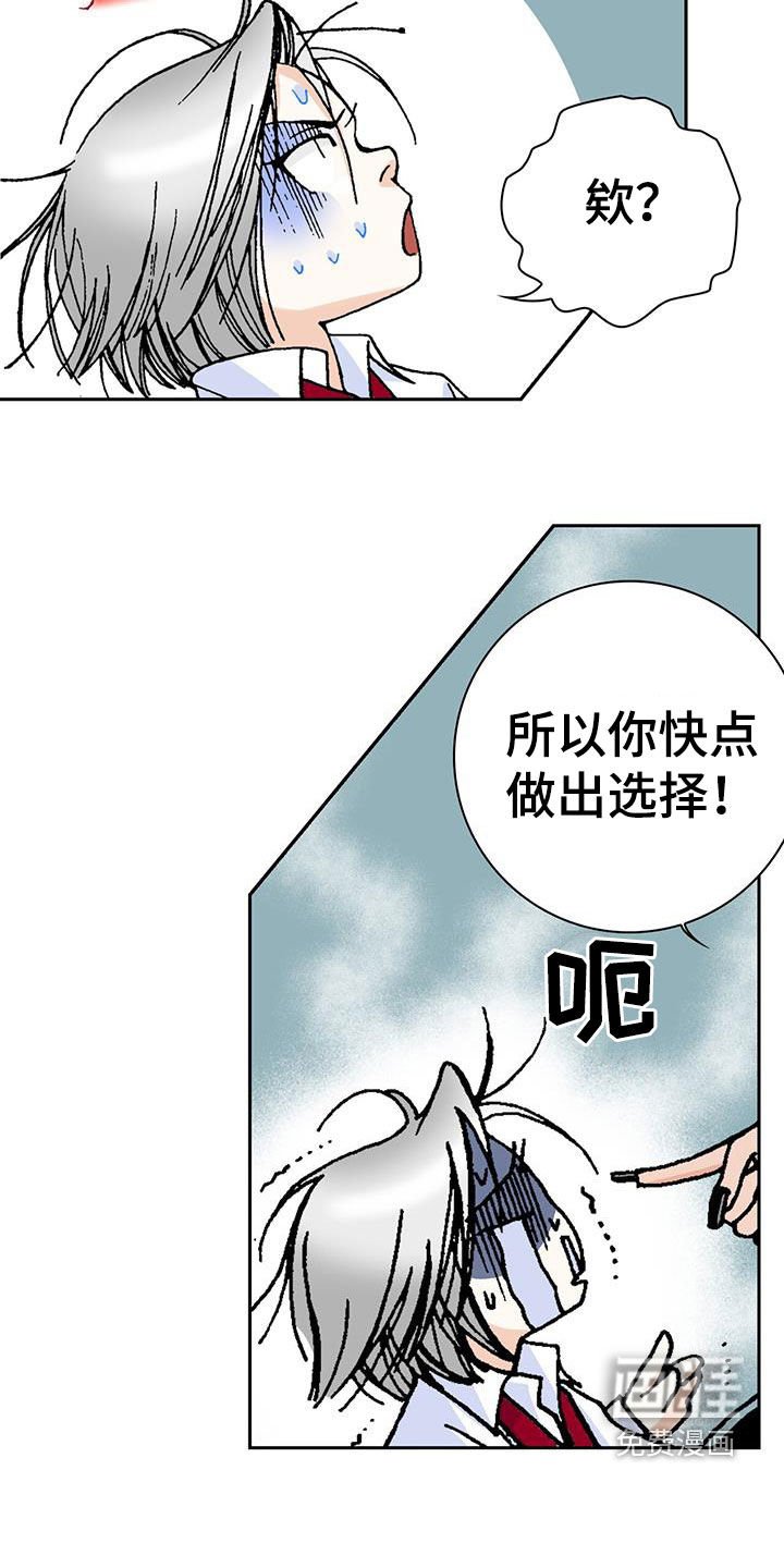 第24章：选择