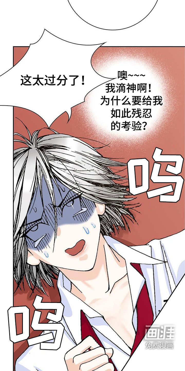 第24章：选择