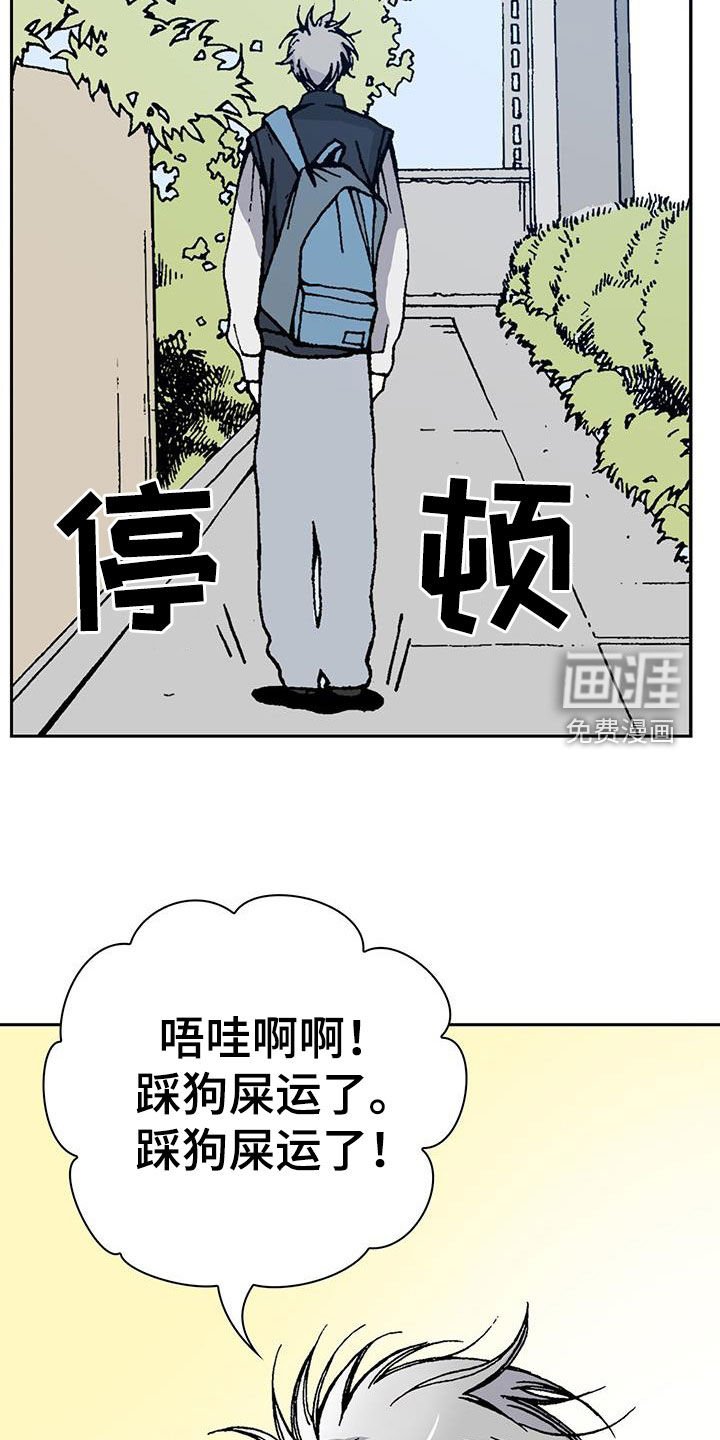 第39章：狗屎运
