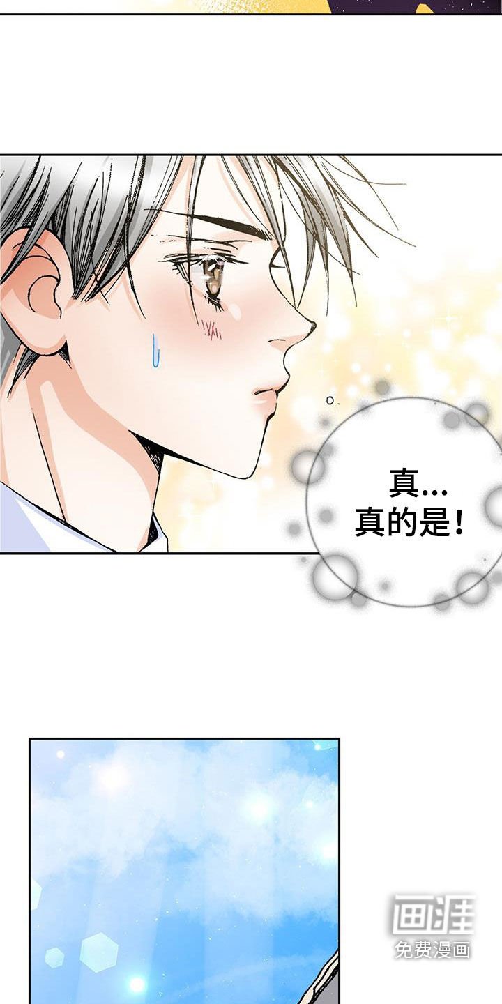 第50章：理想型