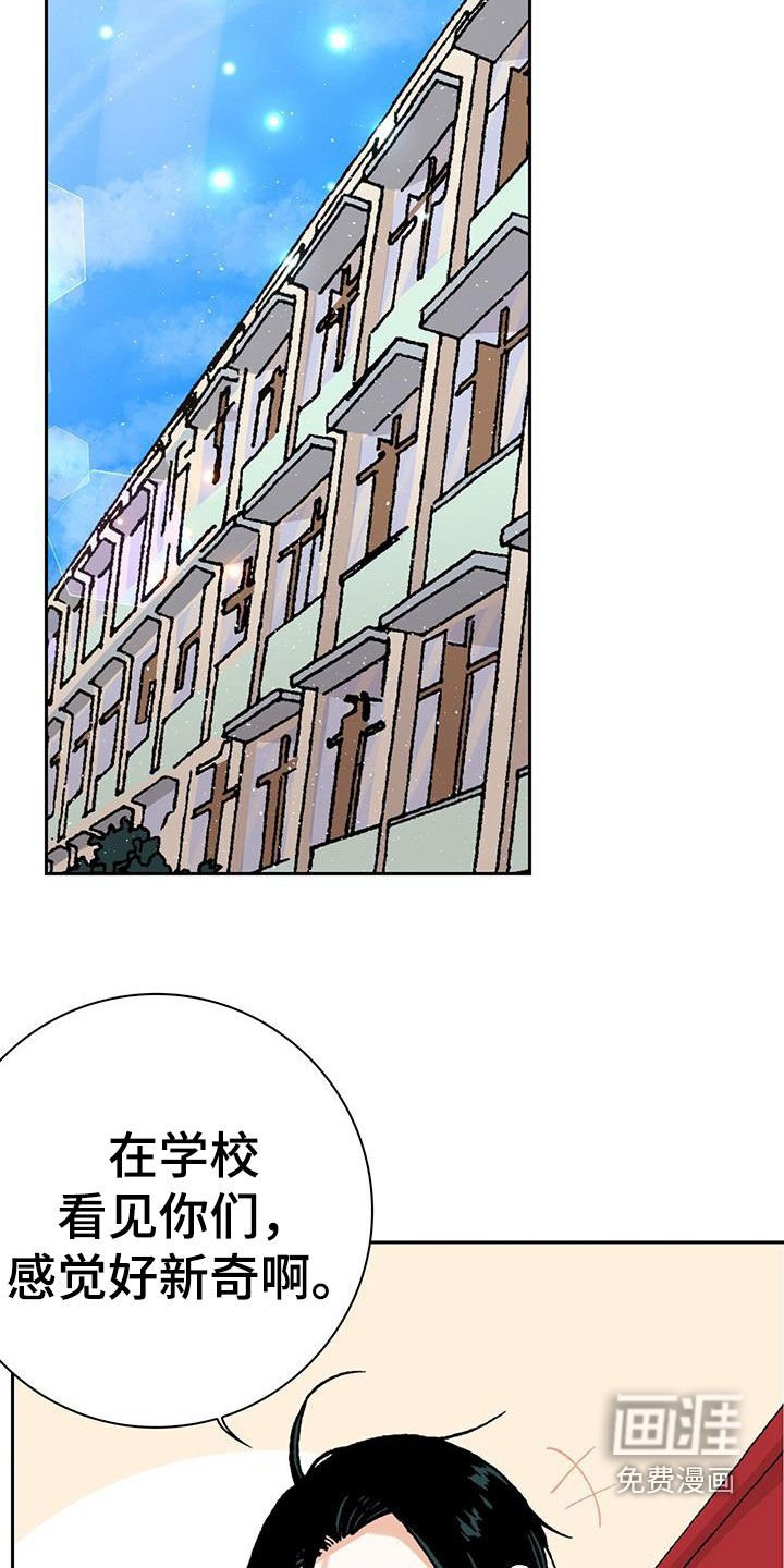 第50章：理想型