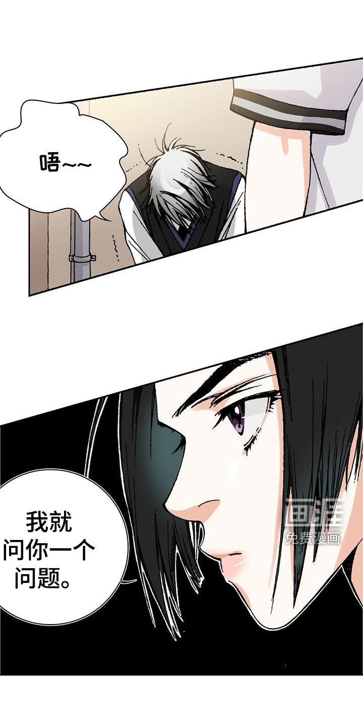 第50章：理想型