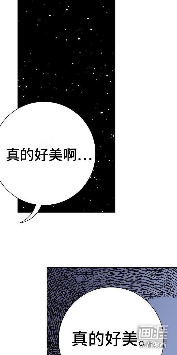 第6章：好美啊
