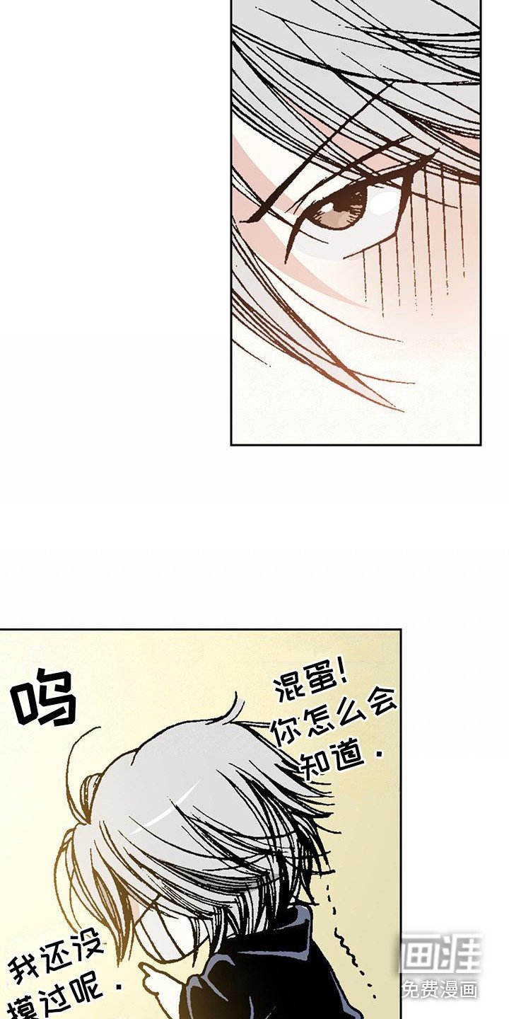第6章：好美啊