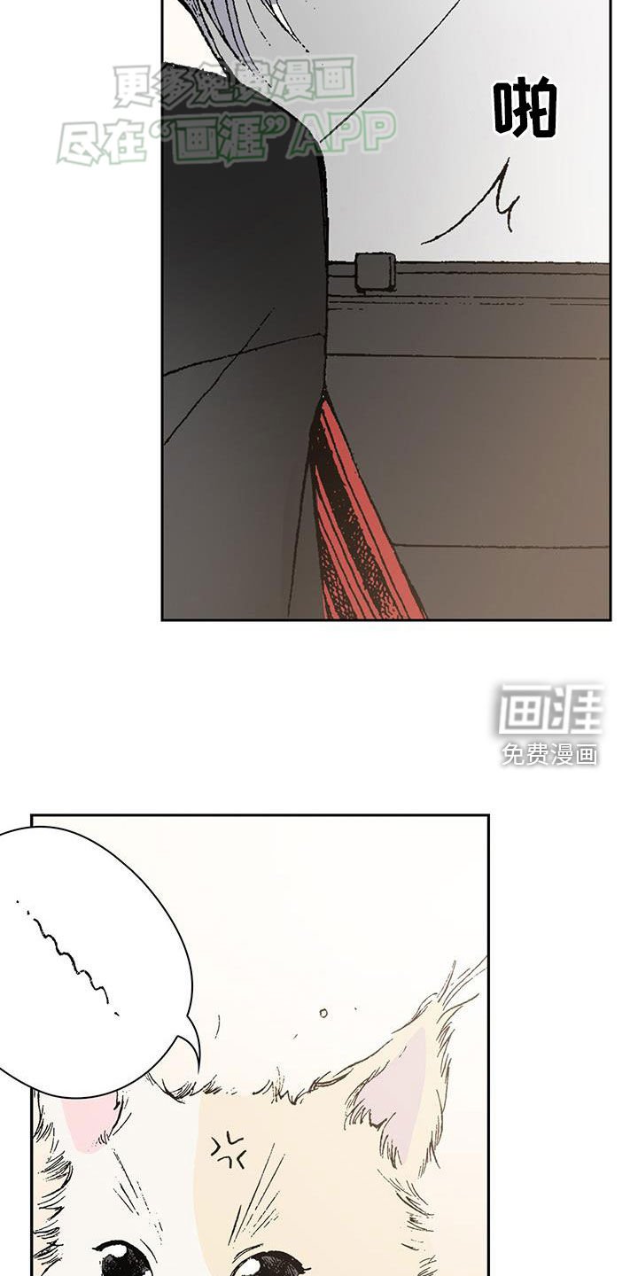第68章：重逢（完结）