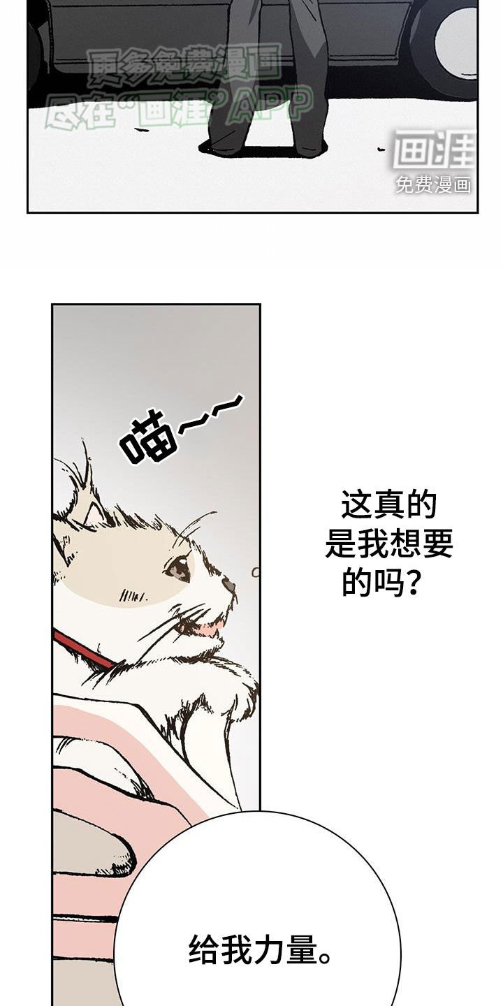 第68章：重逢（完结）