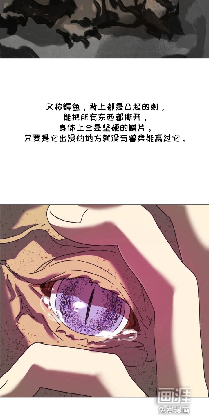 第13章：你很好看