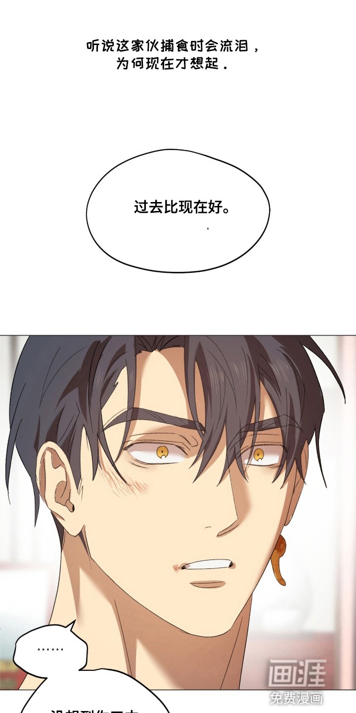 第13章：你很好看