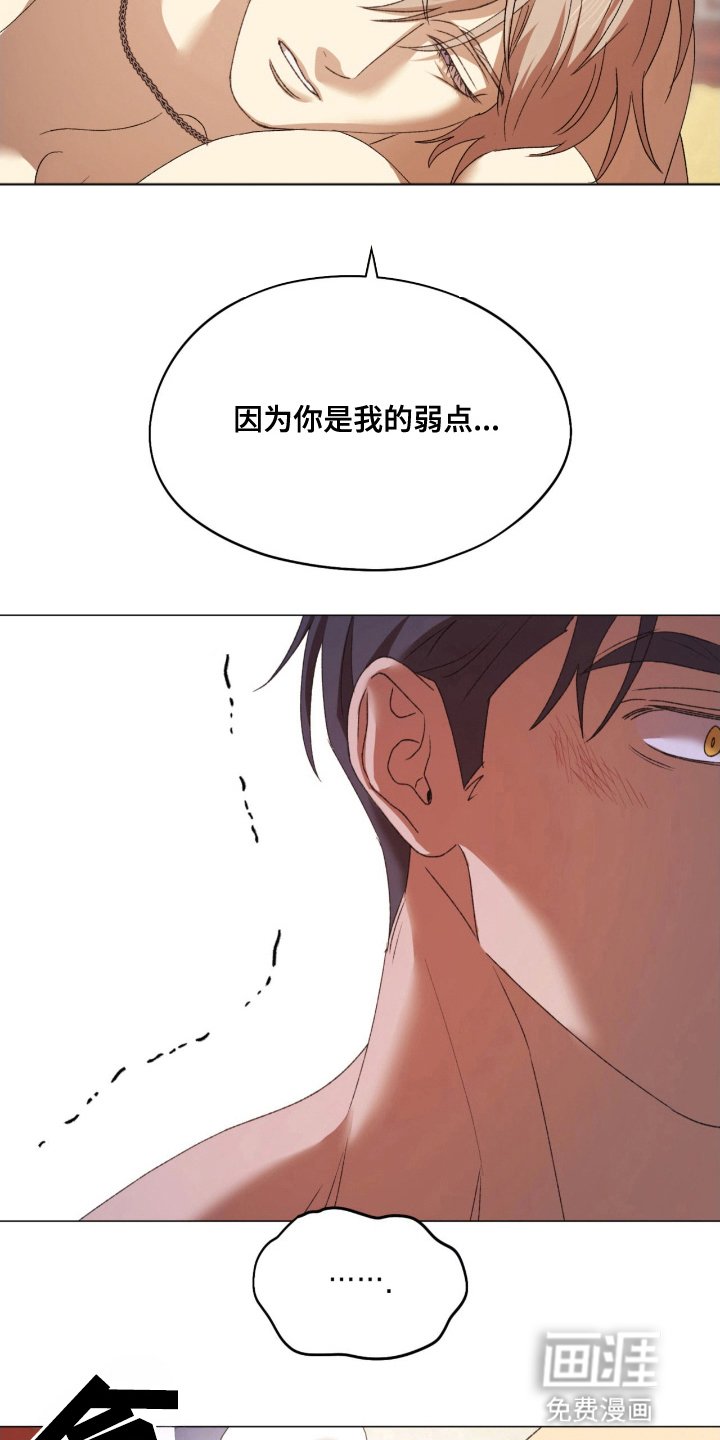 第14章：选择了他
